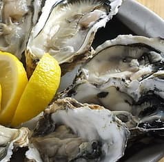 Shellman シェルマン 月島